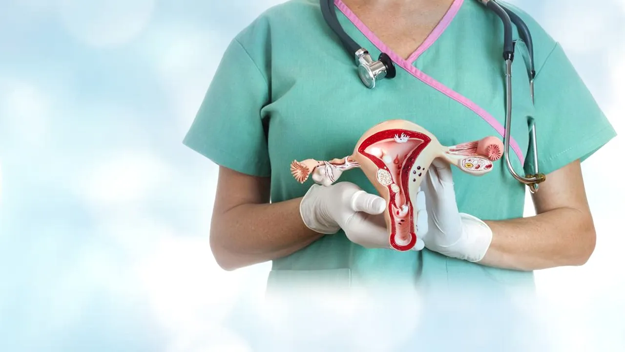 Endolaparoscopic Gynaecology